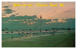 Postcard BEACH SCENE Daytona Beach Florida FL AS0482