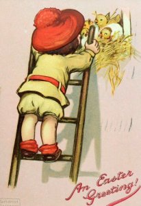 Circa 1910 Cute Girl Baby Chicks Easter Girl Ladder Raphael Tuck Postcard P36