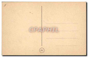 Old Postcard Cat Cats Kitten