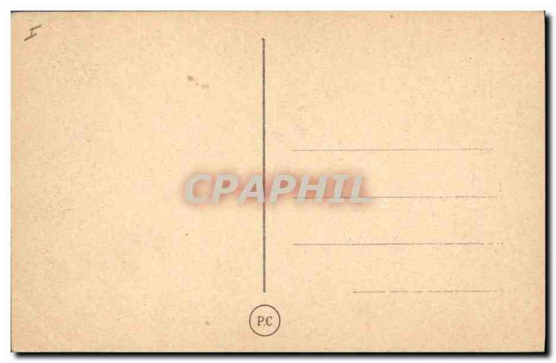 Old Postcard Cat Cats Kitten