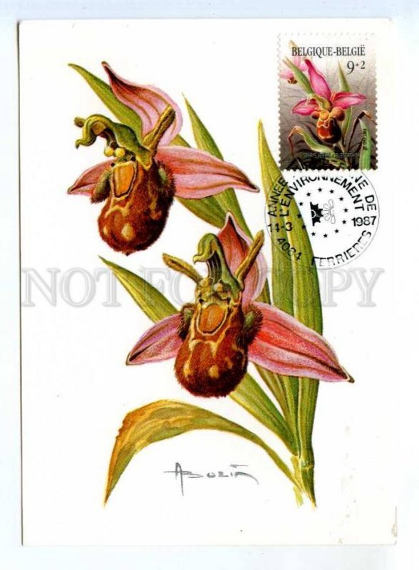 420145 BELGIUM 1987 year flowers orchid First day maximum card