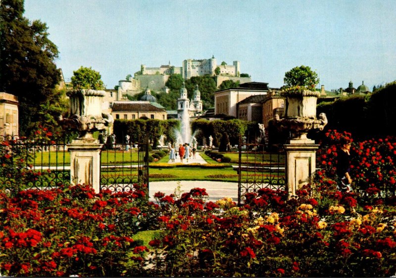 Austria Salzburg Roses In Mirabell Garden