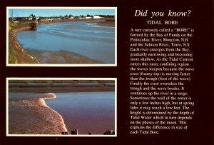 Canada - New Brunswick. Moncton, Tidal Bore