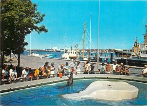 Germany landeshauptstadt kiel aquarium Postcard