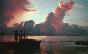 Postcard Outer Banks Fishing Trawler Coming In From Day's Catch North Carolina