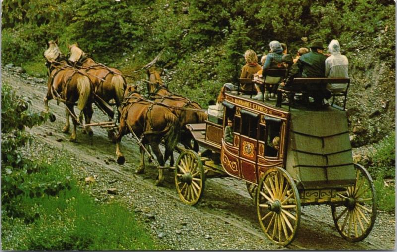 Barkerville BC Cariboo Stage-Coach Barnard's Express Unused Vintage Postcard D62