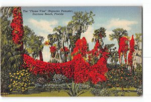 Daytona Beach Florida FL Postcard 1941 The Flame Vine