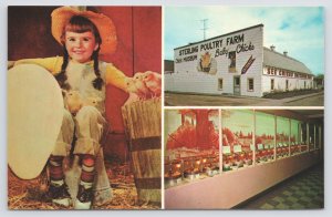 Sterling Michigan~Chick Exhibit @ Poultry Farm~Vintage Postcard