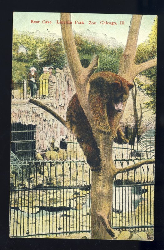 Chicago, Illinois/IL Postcard, Bear Cave, Lincoln Park