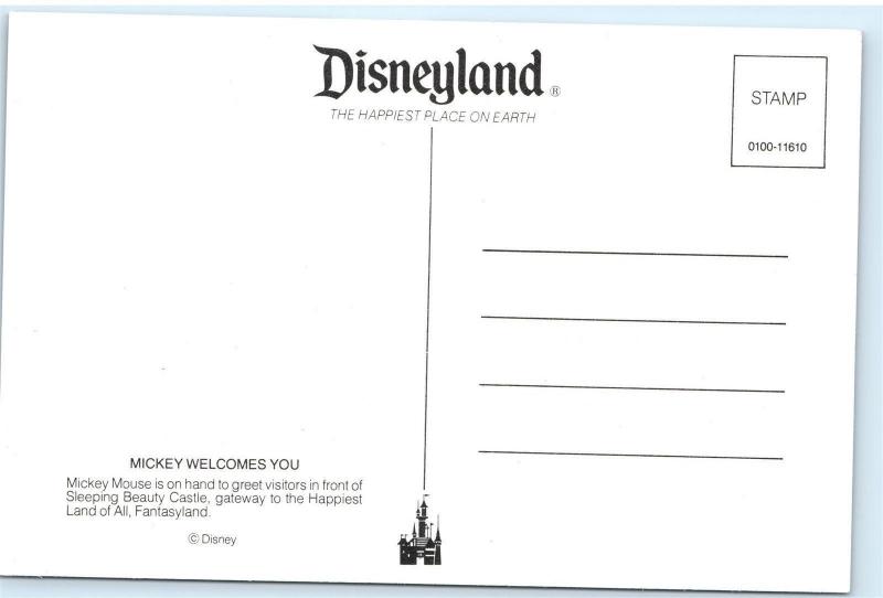 Disneyland Mickey Mouse Sleeping Beauty Castle Vintage 4x6 Postcard A47