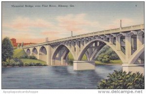 Georgia Albany Memorial Bridge Over Flint River