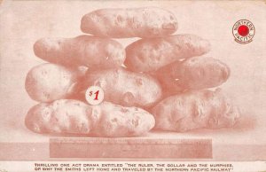 Northern Pacific Railroad Baked Potato Advertising Vintage Postcard AA53688