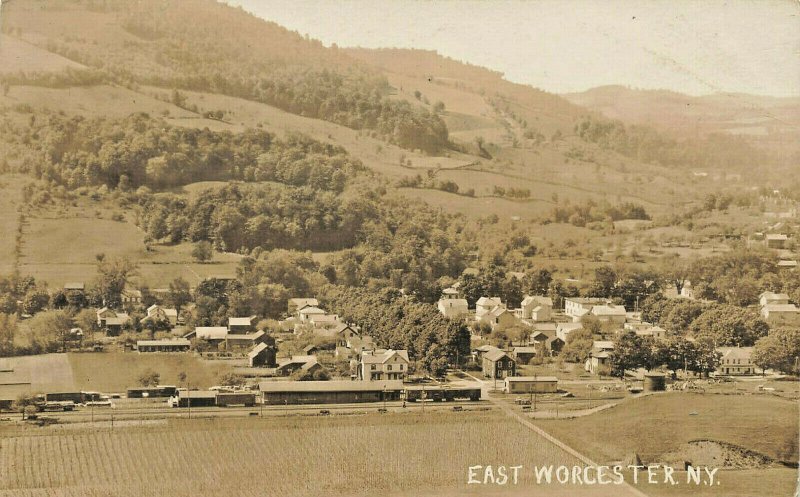 East Worcester NY Arial View Railroad Station Train Depot Real Photo Postcard