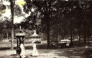 C.1900-07 Congress Spring Park, Saratoga Springs, N. Y. Vintage Postcard P137