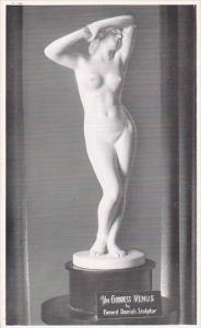 Venus Statue in Bar Gallery At Heaven City Motel Mukwonago Wisconsin Real Photo