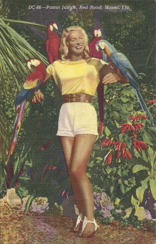 Beautiful Blonde Girl, Miami, FL, Shorts, Parrots, Teich Linen, Sexy Woman