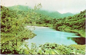 Postcard West Indies Dominica - Fresh Water Lake