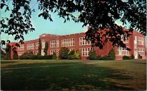 Vtg 1950s Georgetown High School Delaware DE Unused Chrome Postcard