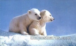 Artic Alaska Polar Cubs Bear Unused 