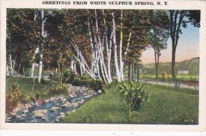 New York Greetings From White Sulphur Springs 1939