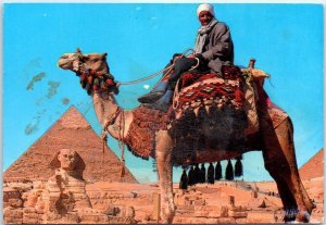 M-49415 Camel River Near the Sphinx and Khafre Pyramid Egypt