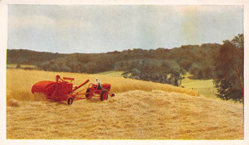 Harvest your small grains Milwaukee, Wisconsin, USA Farming Unused 