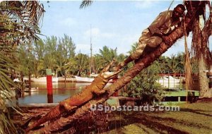 Musa Isle - Miami, Florida FL  