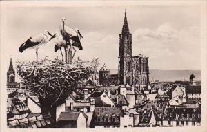 France Strasbourg Vue generale et le Nid de Cigognes 1952 Photo