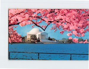 Postcard Jefferson Memorial, Washington, District of Columbia