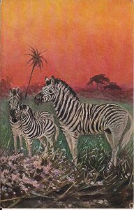 Zebra Portrait, Artist Signed 1910-18 Exotic African Animals