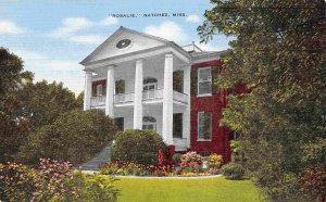 Rosalie Mansion Union HQ Civil War Natchez Mississippi linen postcard