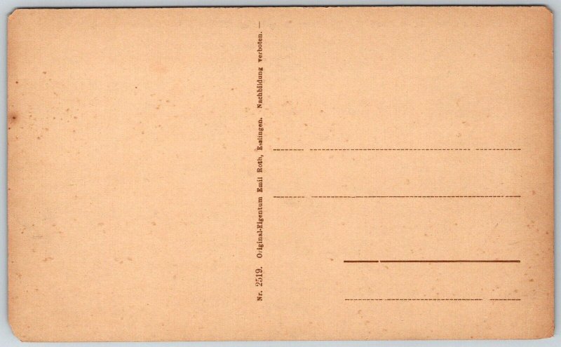 Wildbad Germany c1910 Postcard Sommerberg Hotel