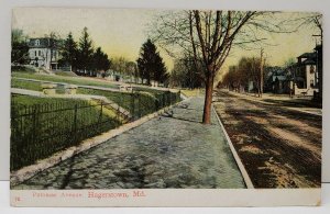 Hagerstown Maryland Potomac Ave Brick Sidewalks Dirt Roads 1907 Postcard B15