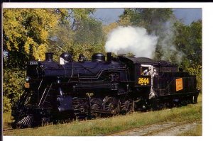 Canadian National Railway Steam Train, Coboconk, Ontario