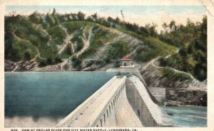 Dam at Pedlar River City Water Supply Lynchburg Virginia VA Vintage Postcard