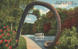 Vintage Postcard 1930's The Horse Shoe Palm at Beautiful Silver Springs Florida