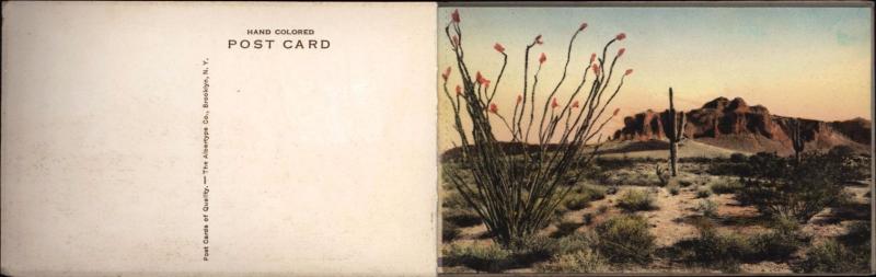 APACHE TRAIL ARIZONA & ROOSEVELT DAM~SOUVENIR FOLDER~11 HAND COLORED POSTCARDS