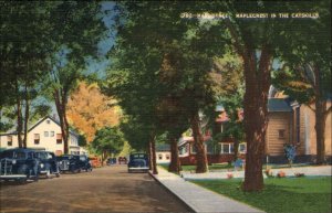 Catskills New York NY Main St. c1940s Linen Postcard