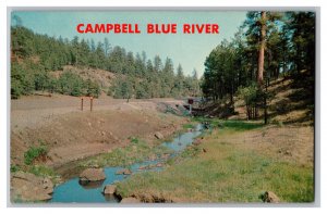 Postcard AZ Campbell Blue River Apache National Forest Arizona