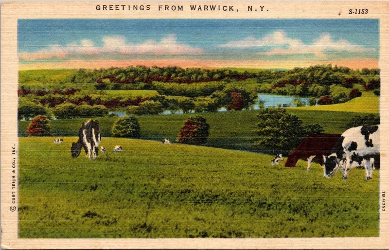 Postcard NY Orange County Greetings from Warwick Cattle Scenic Pasture 1947 V131