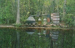 Vintage Postcard Moonshine Still Okefenokee Swamp Park Waycross Georgia