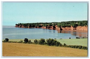 c1950's Coast Line Scenes in Parrsboro Nova Scotia Canada Vintage Postcard