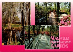 South Carolina Charleston Magnolia Plantation and Gardens