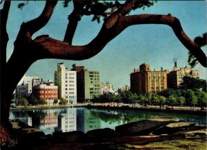 Tokyo, Japan CHIYODA MARUNOUCHI BUSINESS DISTRICT Moat/Tree 4X6 Vintage Postcard