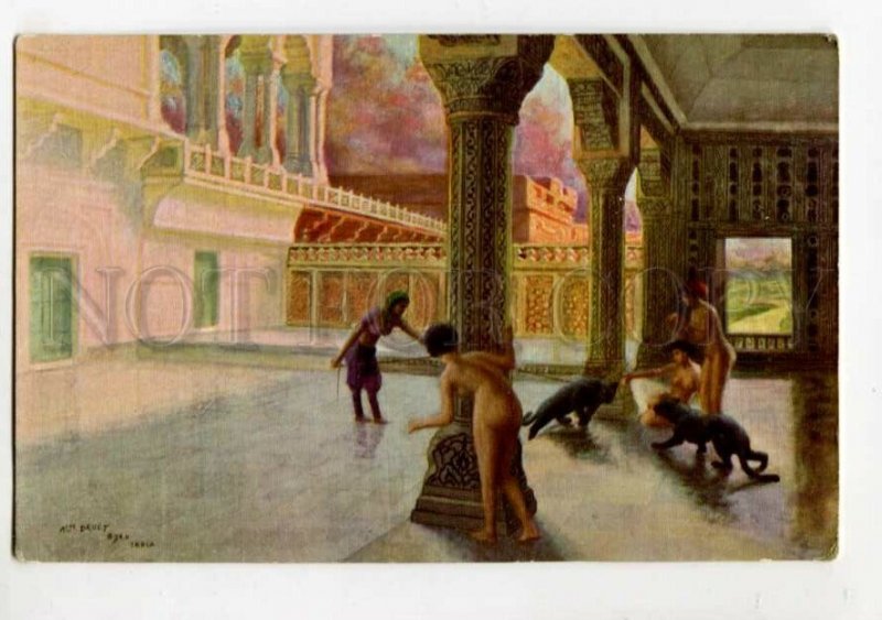 3111908 India HAREM Nude Slaves & Panthers by DRUET Vintage PC