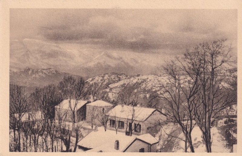 Michelet Algeria Sons La Neige Winter Antique Aerial Postcard