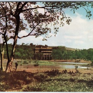 c1960s Angkor Wat, Cambodia Tree Lake Reflection Temple Ruins Chrome 4x6 PC M21