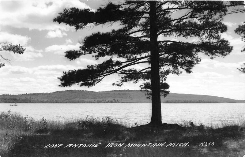 Iron River Michigan~Lake Antoine View~1940s Real Photo Postcard