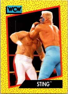 1991 WCW Wrestling Card Sting sk2109