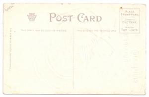 1908 Embossed Thanksgiving Postcard Julius Bien 9204 Big Tom Turkey Vintage